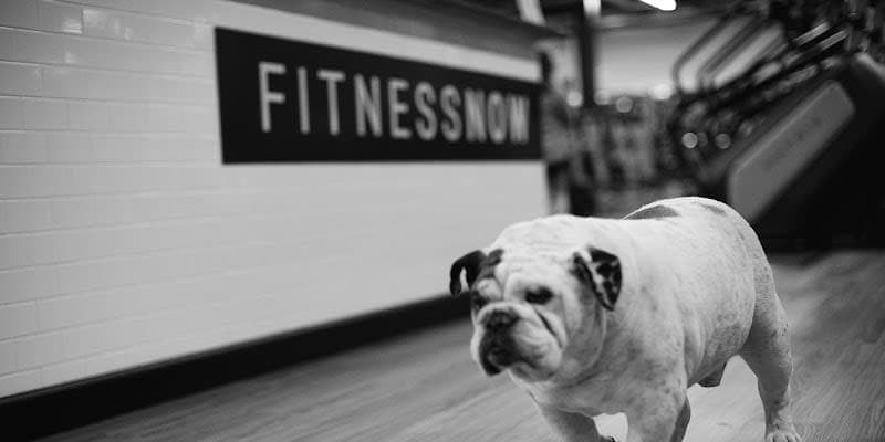 Fitness Now