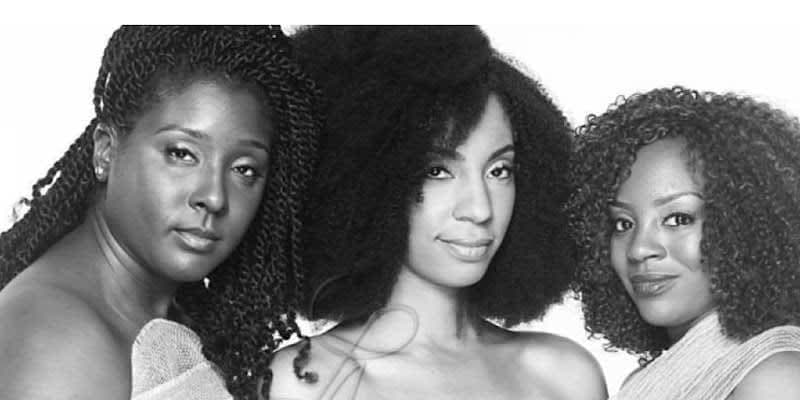 Lady Ayri Natural Hair Care LLC