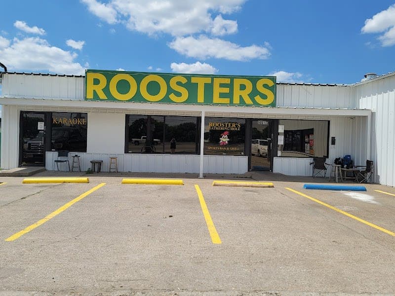 Roosters photo 2 - beauty in DFW, TX