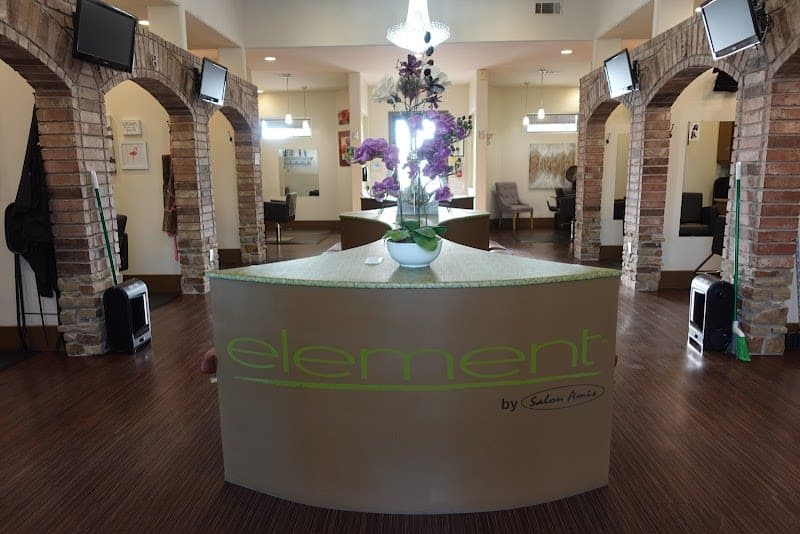 Element by Salon Amis photo 1