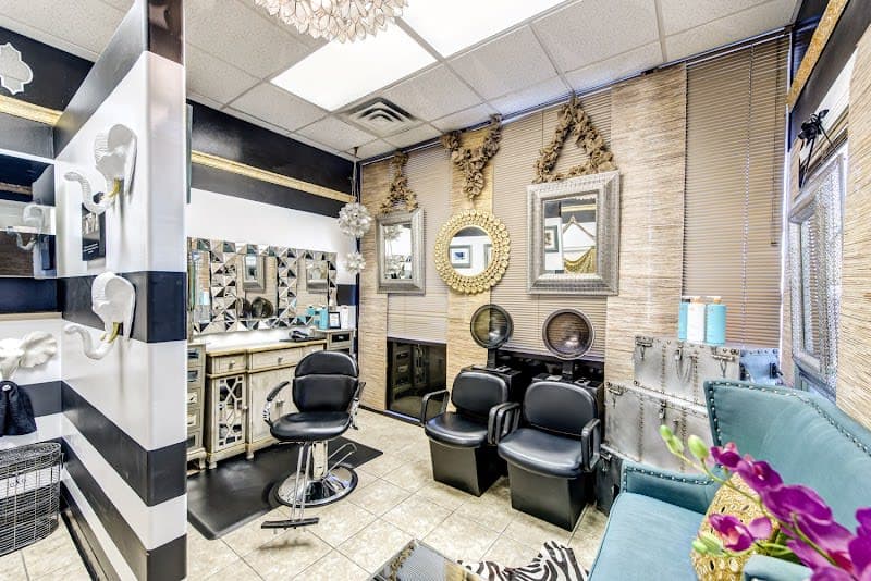 Salon Meyerland - Natural and Relaxed Black Hair in Houston photo 2