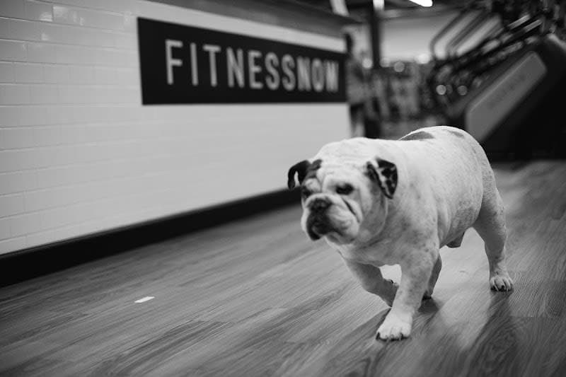 Fitness Now cover photo - beauty in DFW, TX
