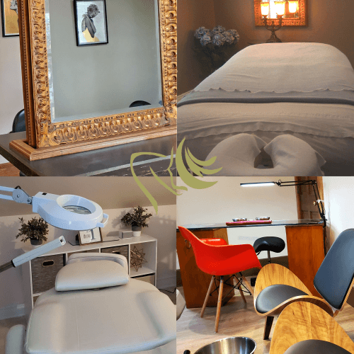 Ana Luis Salon & Day Spa in Saginaw