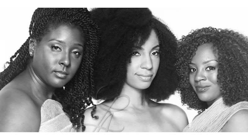 Lady Ayri Natural Hair Care LLC photo 1