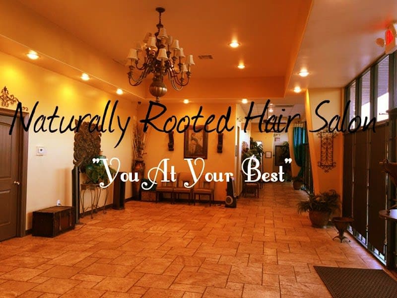 Naturally Rooted Natural Hair Salon in Houston