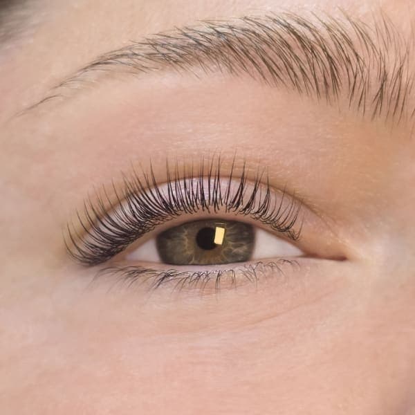 The Lash Lounge photo 2 - beauty in DFW, TX
