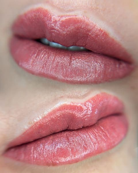 Blushed Beauty Lips⎮DFW Lip Blush, & Lip Neutralization photo 1