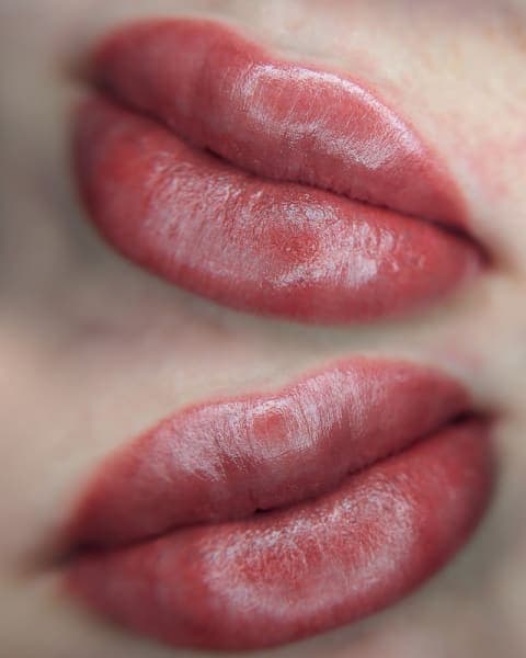 Blushed Beauty Lips⎮DFW Lip Blush, & Lip Neutralization photo 2