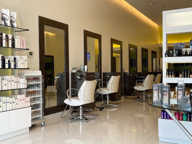 AALAM The Salon - Plano North Dallas TX photo 2